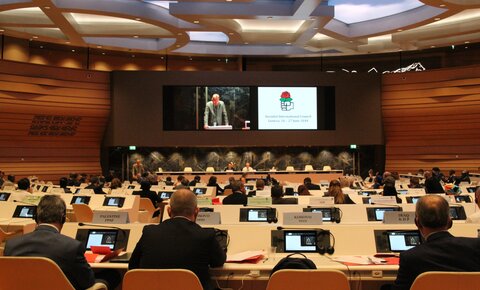 SI meeting at the United Nations, Geneva, 26-27 June 2018