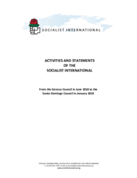 SI_Report_Santo_Domingo_Council_January_2019_English.pdf