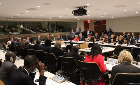 Meeting of the SI Presidium and Heads of State & Government, United Nations, New York