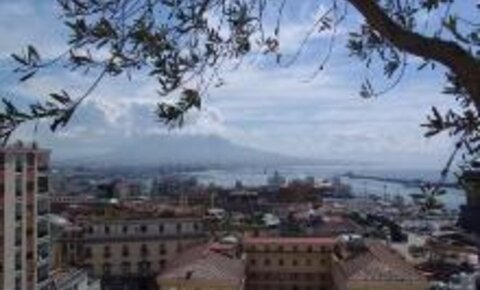 SI Mediterranean Committee meets in Naples