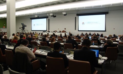 SI Council at the United Nations, New York