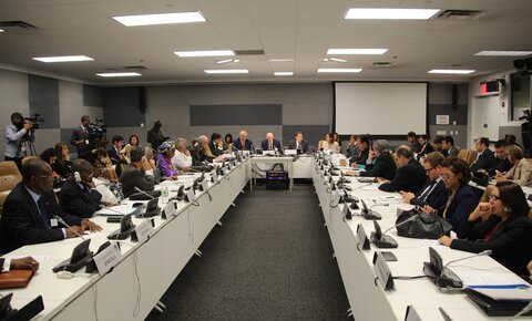 6th annual meeting of the SI Presidium and Heads of State and Government, United Nations, New York